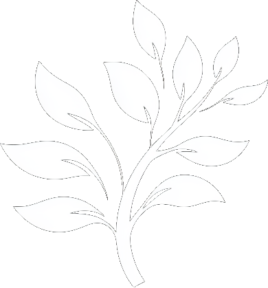 Kryptoniitti logo